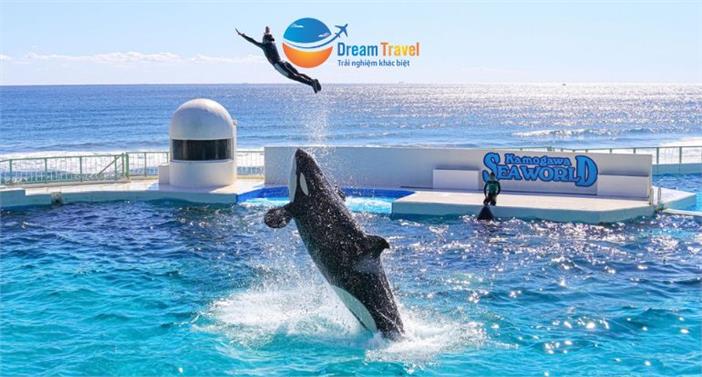 [HCM] Tour Nhật Bản Hè 2025: Thủy cung Seaworld Kamogawa - Công Viên Disneyland