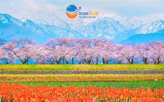 [HCM] Tour Nhật Bản Thiết Kế Đặc Biệt 7N6Đ: Bộ Tứ Mùa Xuân