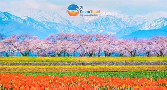 [HCM] Tour Nhật Bản Thiết Kế Đặc Biệt 7N6Đ: Bộ Tứ Mùa Xuân