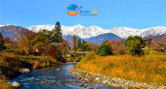 Tour Thiết Kế Nhật Bản 2025: Cung Đường Romantic Mùa Thu