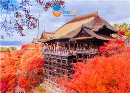 Tour Nhật Bản Mùa Thu 2025: Cung Đường Làng Cổ Shirakawa-go