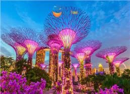 Tour Du Lịch Malaysia - Singapore Hàng Không VietNam Airlines 2025