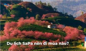Du lịch Sapa mùa nào đẹp nhất? Cẩm nang du lịch Sapa 2023