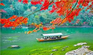 Đi Thuyền Trên Sông Hozu - Kyoto - Du Lịch Nhật Bản Mùa Thu